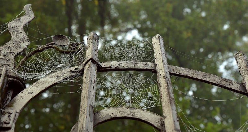 Time Travel Portal